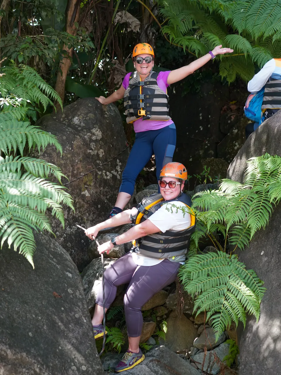 Two harnessed climbers resting on a ledge among ferns on the El Yunque via ferrata route
